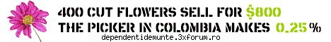 linkuri p.s. are cineva idee sunt codurile html poze sau altceva..? incercat mai devreme postez poza
